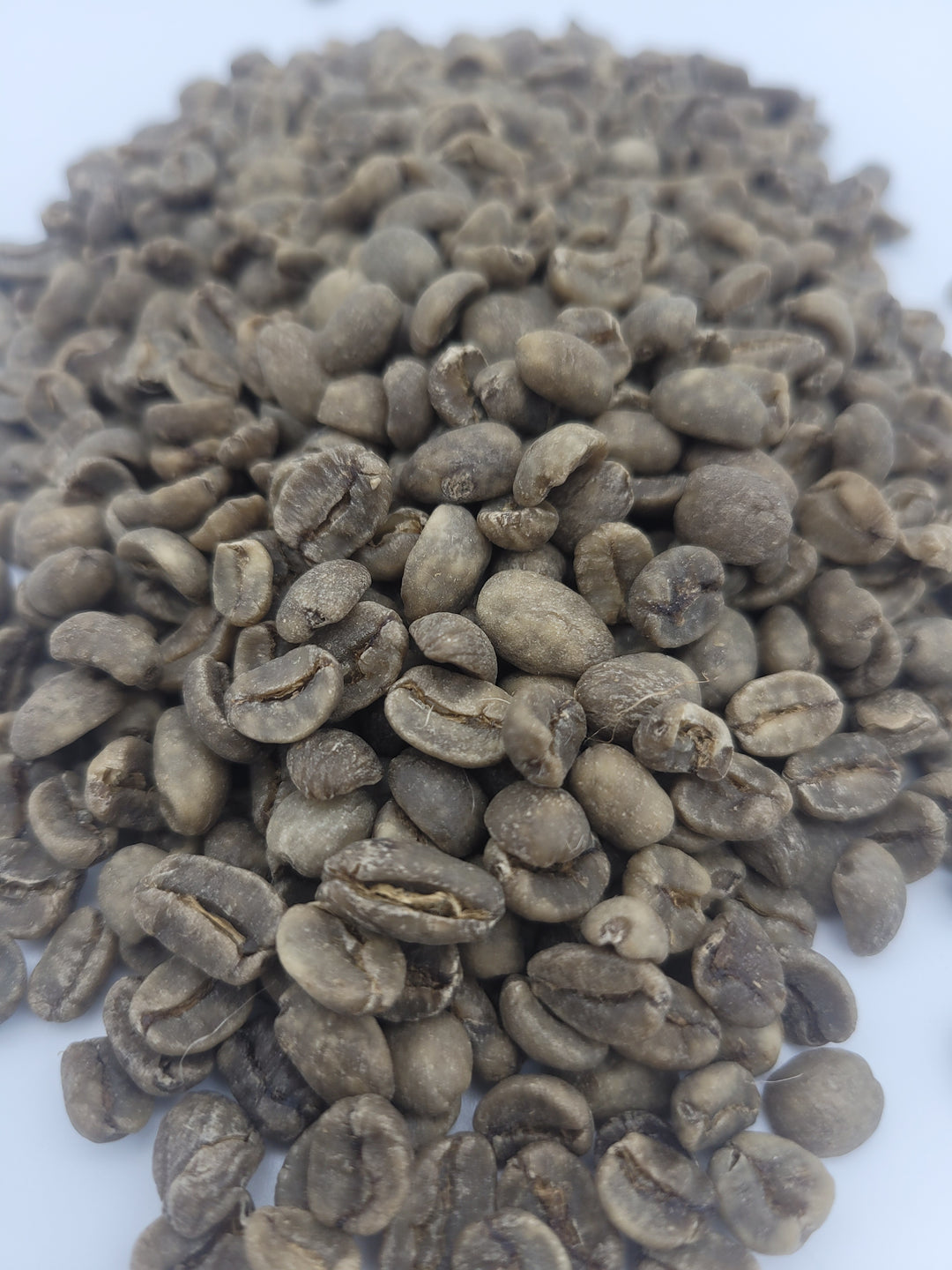 Guatemala Primavera SHB EP SWP Decaf