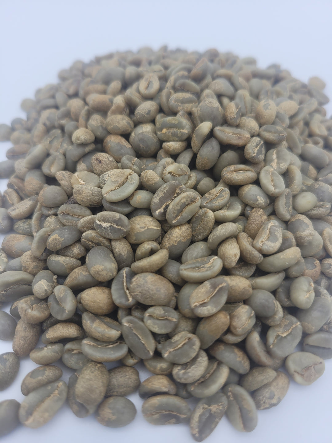 Colombia - Los Cedros - Pink Bourbon Anaerobic